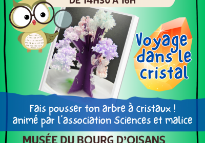 Atelier « voyage dans le cristal »